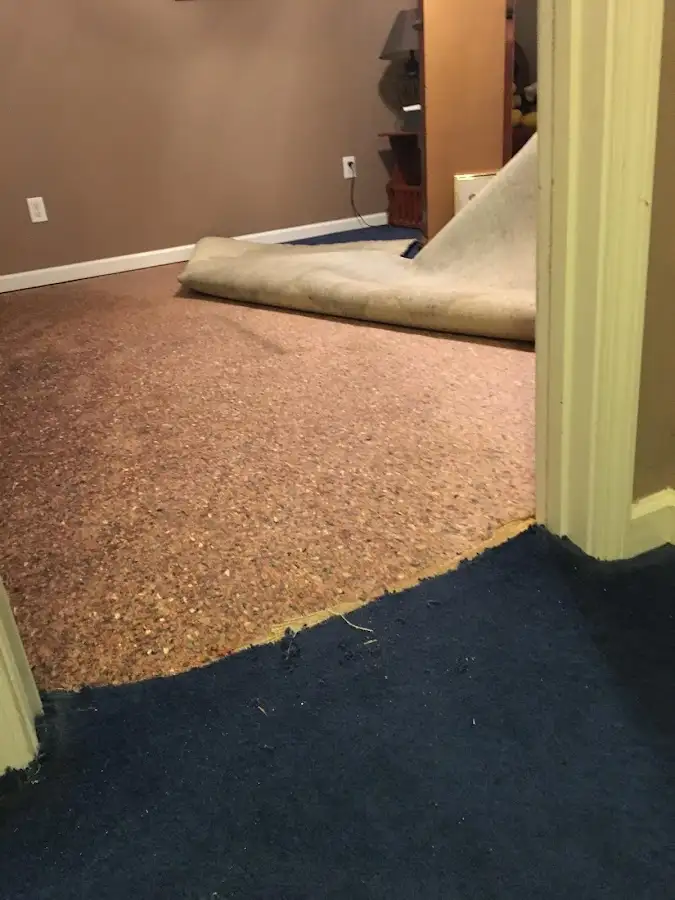 Carpet pad removal revealing water damage during Drying & Dehumidification in Oakfield