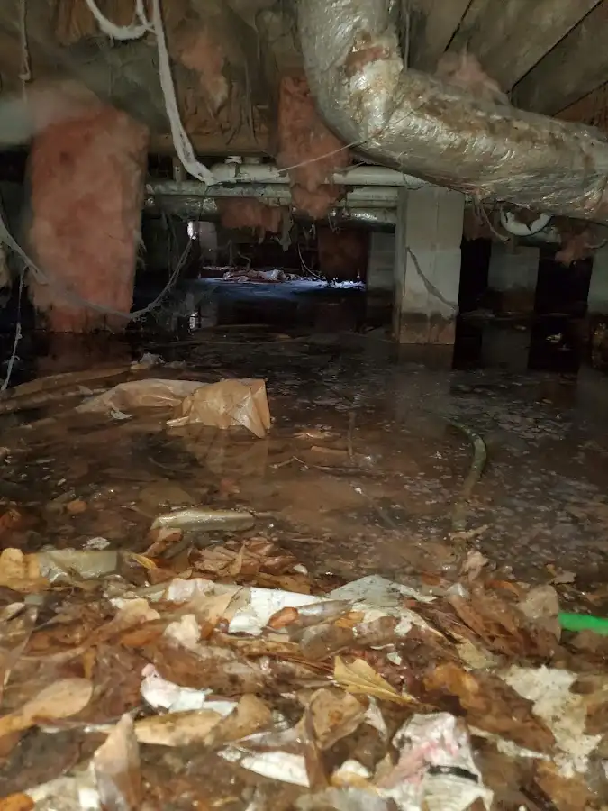 Crawl space flood assessment for Leak Detection & Repair in Oakfield