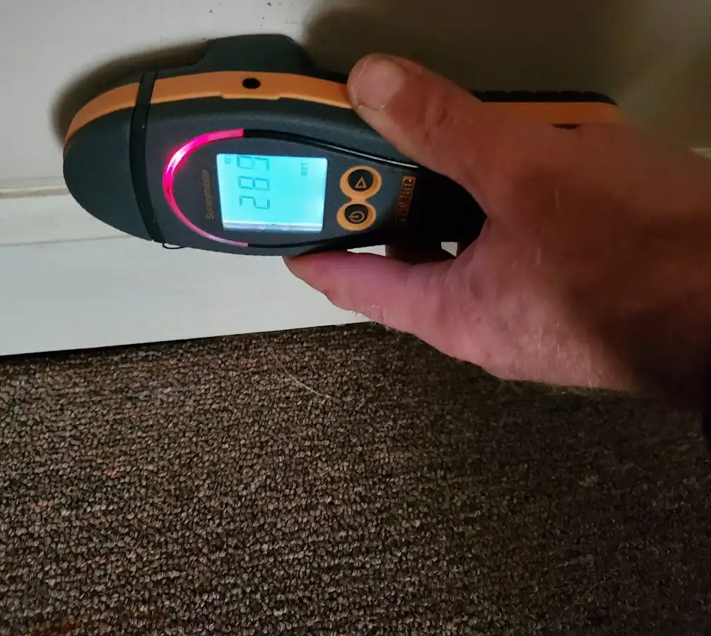 Moisture detection at baseboard during Sewage Cleanup & Sanitation in Oakfield